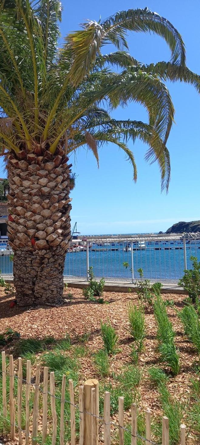 Appart F3 A 150 M De La Plage Avec Parking Prive セルベーレ エクステリア 写真